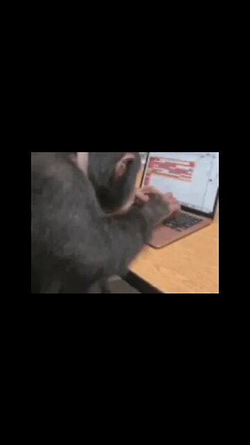 O melhor usuário de computador da geração Z que você irá ver hoje