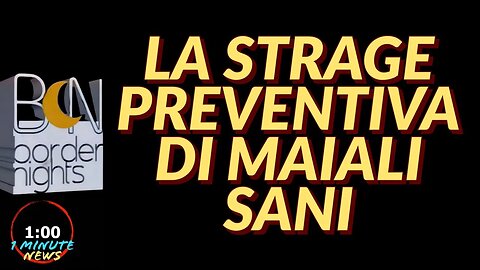 LA STRAGE PREVENTIVA DI MAIALI SANI - 1 Minute News