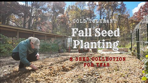 CLEANING up the GARDEN for next Spring! PLANTING some cold tolerant SEEDS! Saving some FLOWER seeds