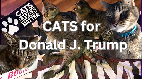 Cats for Trump Save The Animals Cats Lives Matter