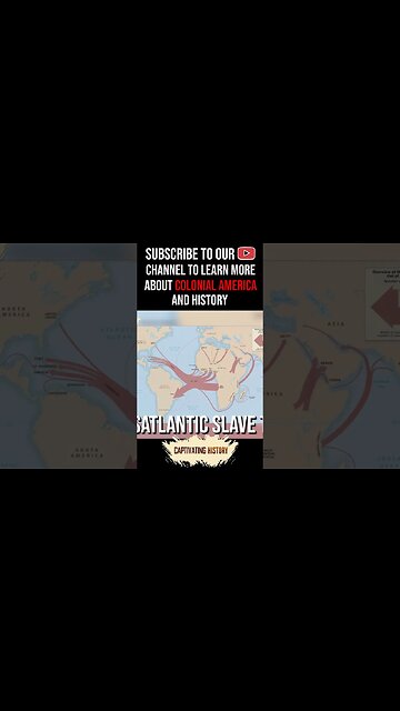 Which Colony Imported the Most Slaves? #shorts