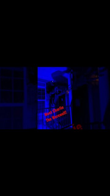 Werewolf Howling at the Moon! Halloween Fun!