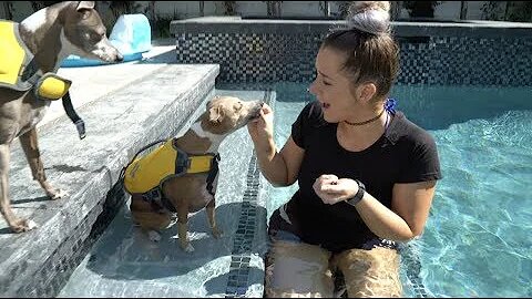 Jenna Marbles Teaching Her Dogs How To Swim