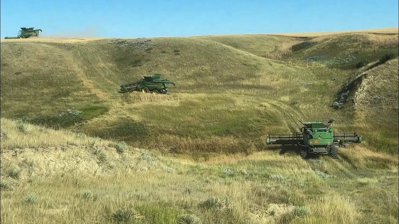 Who Needs A Gator? / Day 22 Highwood Montana Wheat Harvest (August 11)