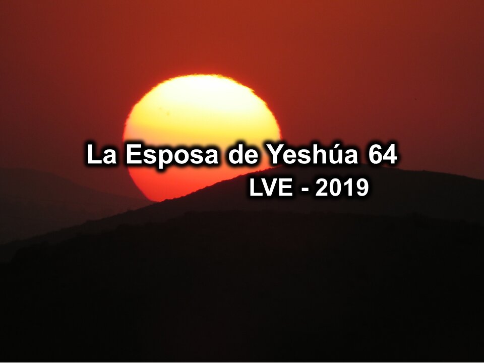 La Esposa de Yeshúa 64 - YHWH Ekjad 43 - Juan 8