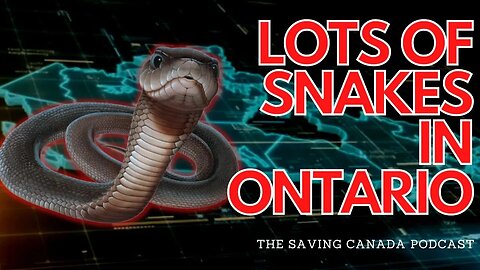 SCP 171: Lots of Snakes in Ontario...