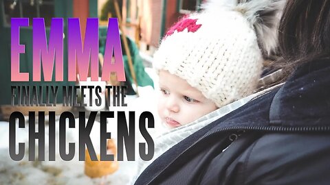 60º In NH And Our 4 Month Old Meets The Chickens!