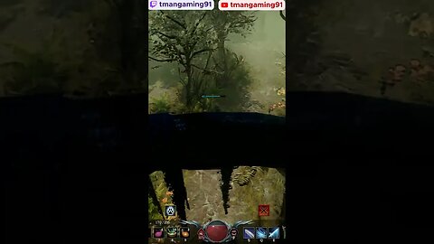 Those Spiders Are Gross