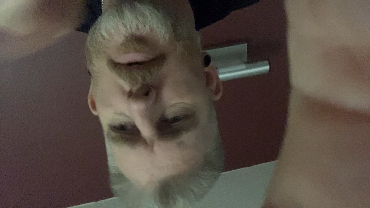 Upside Down Man