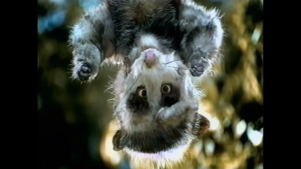 🙈 Twinkies: Where's the Cream Filling? - Snack Commercial 1999
