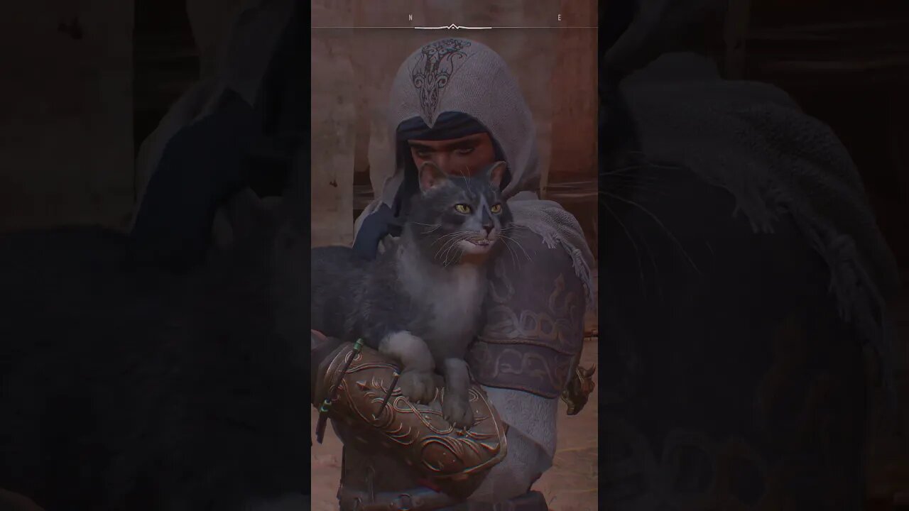 Assassin Cat Easter Egg #shorts #gaming #assassinscreed