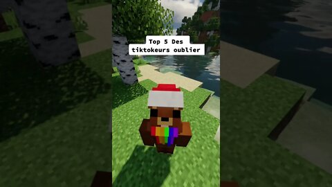 Minecraft / Майнкрафт #tiktok #Shorts