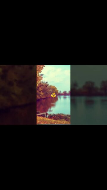 Relaxing Music for Stress Relief #Shorts