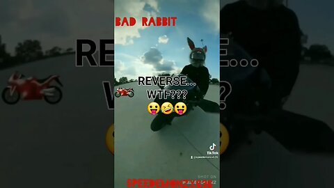 BAD Rabbit SPEEDEMONZX636 "When CAGERS ASK About REVERSE...WTF???" PT1 #shorts #motorcycle #bikelife