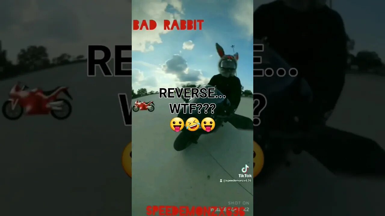 BAD Rabbit SPEEDEMONZX636 "When CAGERS ASK About REVERSE...WTF???" PT1 #shorts #motorcycle #bikelife