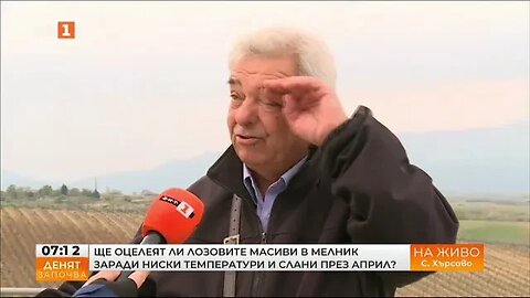 Ще оцелеят ли лозовите масиви в Мелник заради ниските температури през април