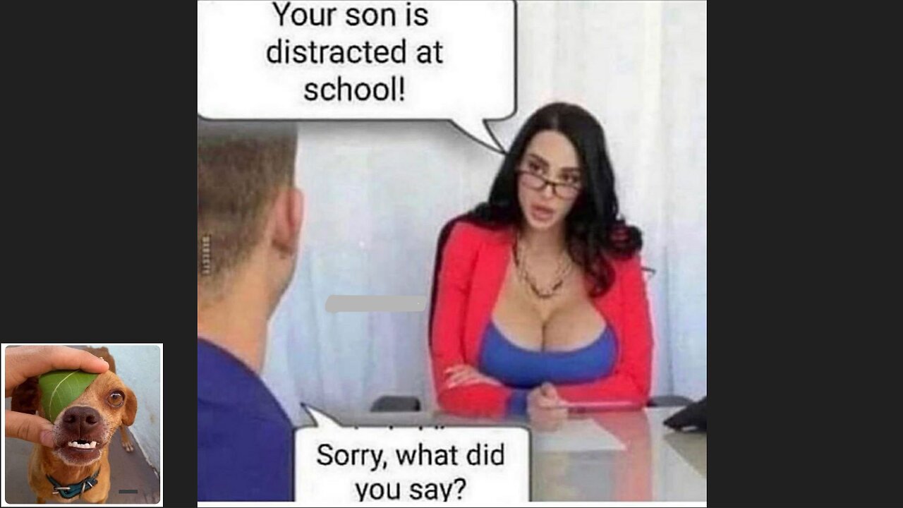Memes That Will 99.949% Make You Laugh. (e174)