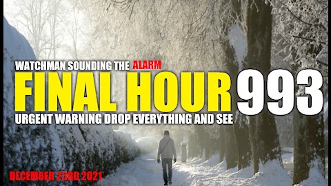 FINAL HOUR 993 - URGENT WARNING DROP EVERYTHING AND SEE - WATCHMAN SOUNDING THE ALARM