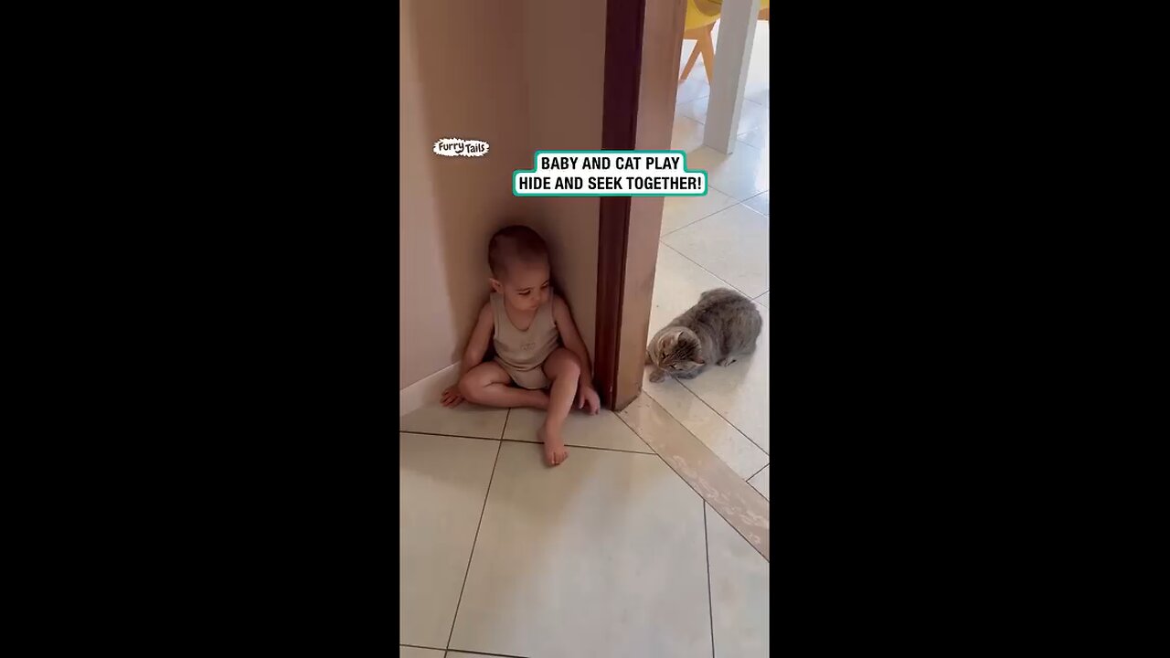 cat and baby playtime