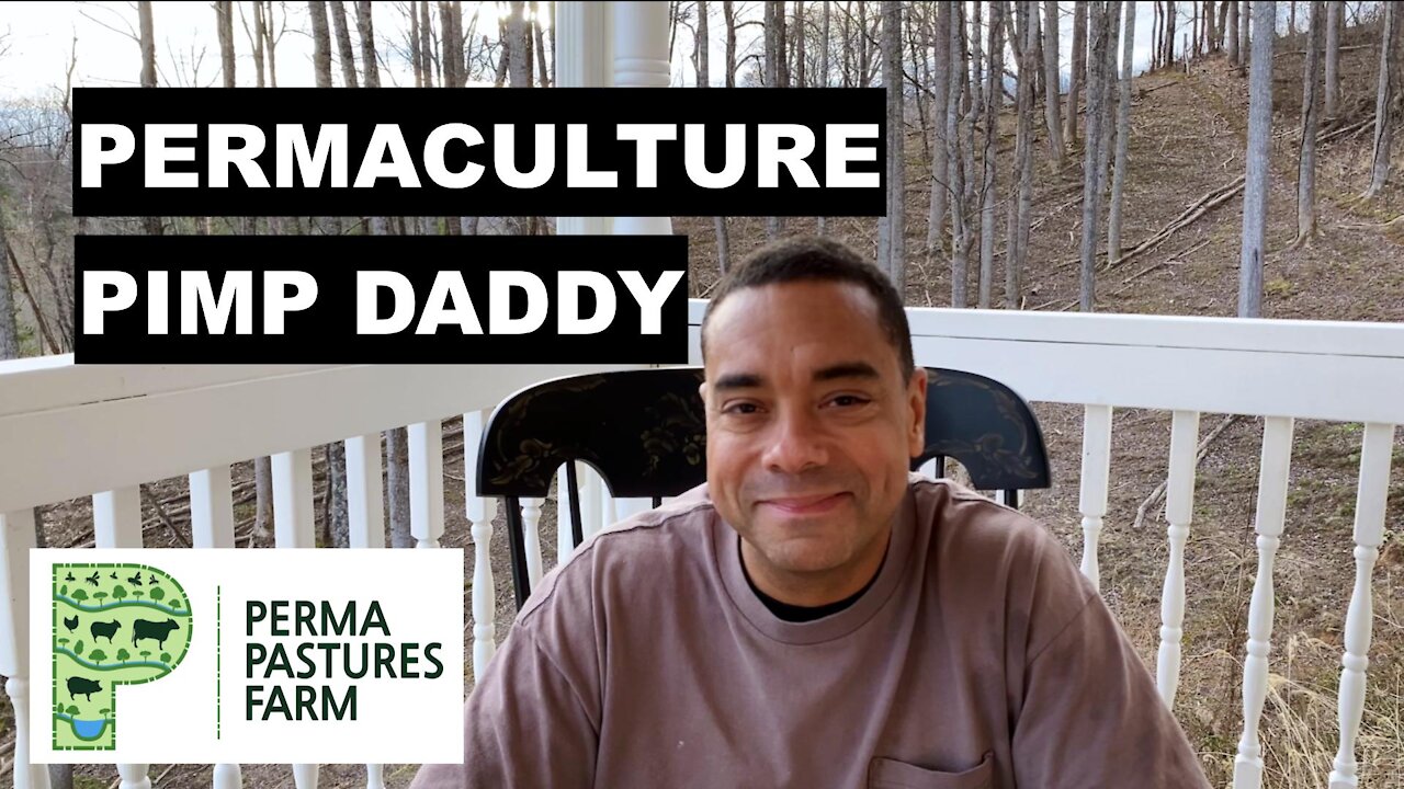 How I Became The Permaculture P.I.M.P.Daddy