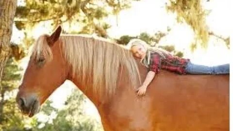 Do You See A Horse Having A Good Time or A Sad Horse?