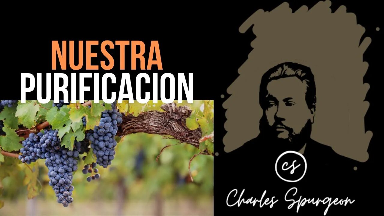 Nuestra purificación (Juan 15:2) Devocional de hoy Charles Spurgeon