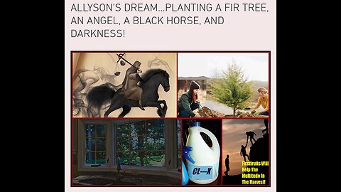 ALLYSON'S DREAM...PLANTING A FIR TREE, AN ANGEL, A BLACK HORSE, AND DARKNESS!