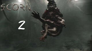 Whats going On! | Scorn