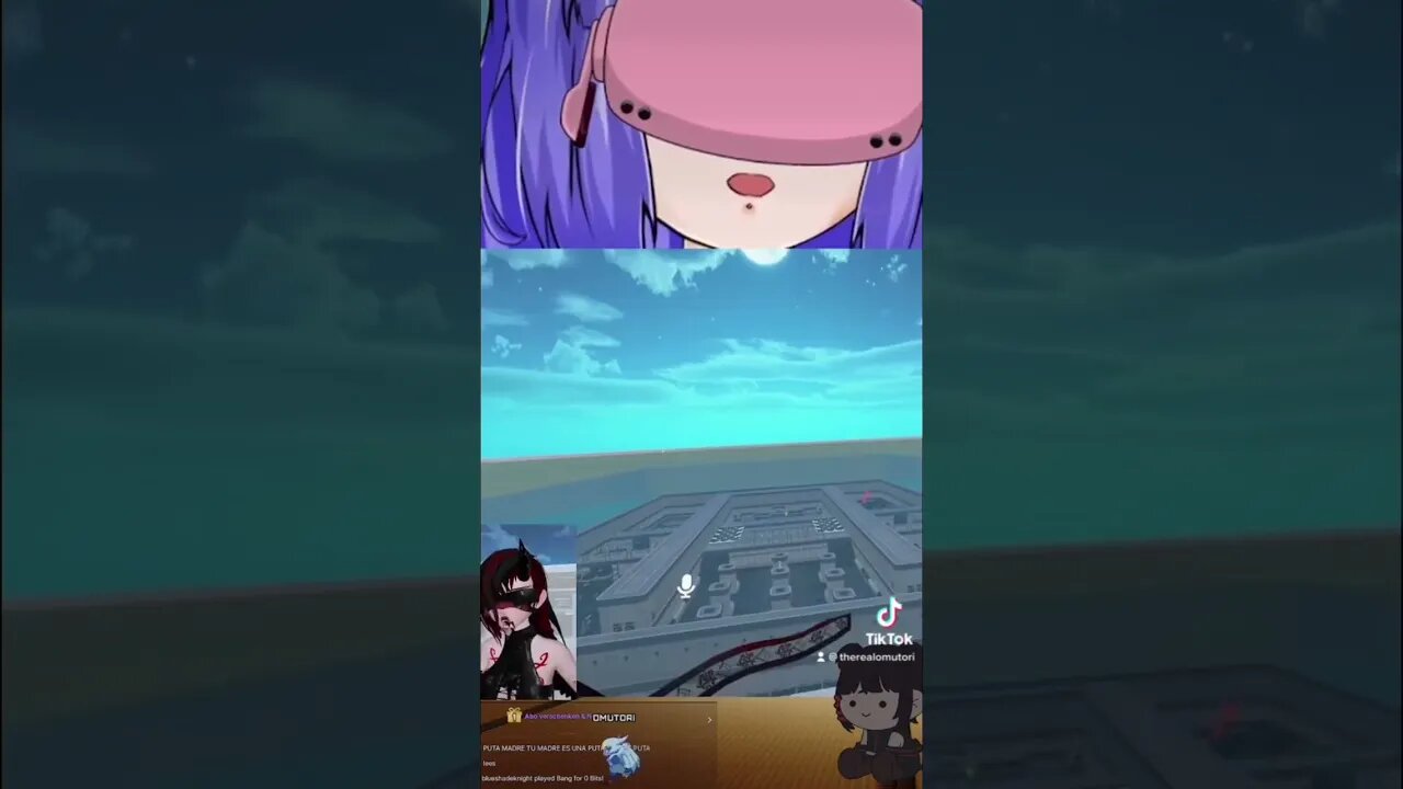 Der Birb verkackt #vtuber #envtuber #gervtuber #vtuberclips #twitch #twitchDE #anime #vrchat