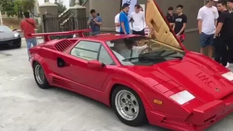 The Ferrari collector throws a car show