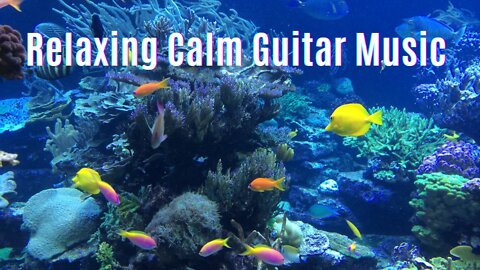 Calming Guitar Music, Relaxing Music, 🐠 Sleep Music, Study Music