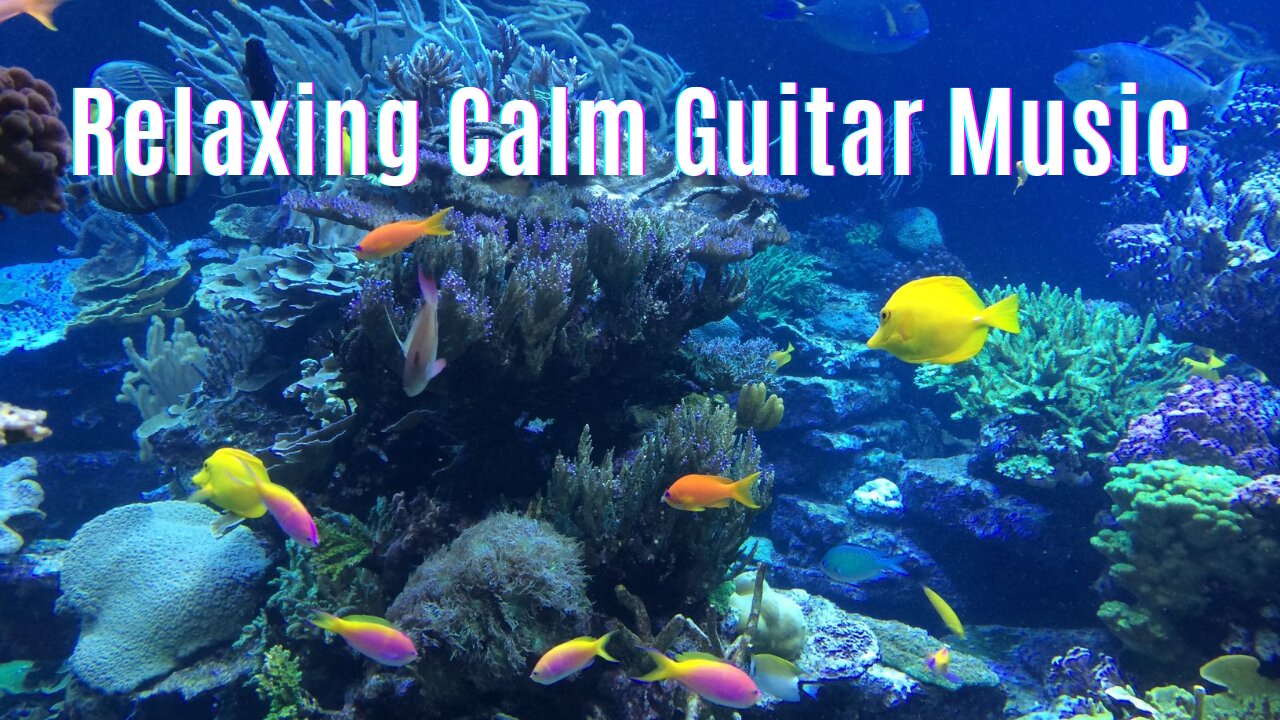 Calming Guitar Music, Relaxing Music, 🐠 Sleep Music, Study Music