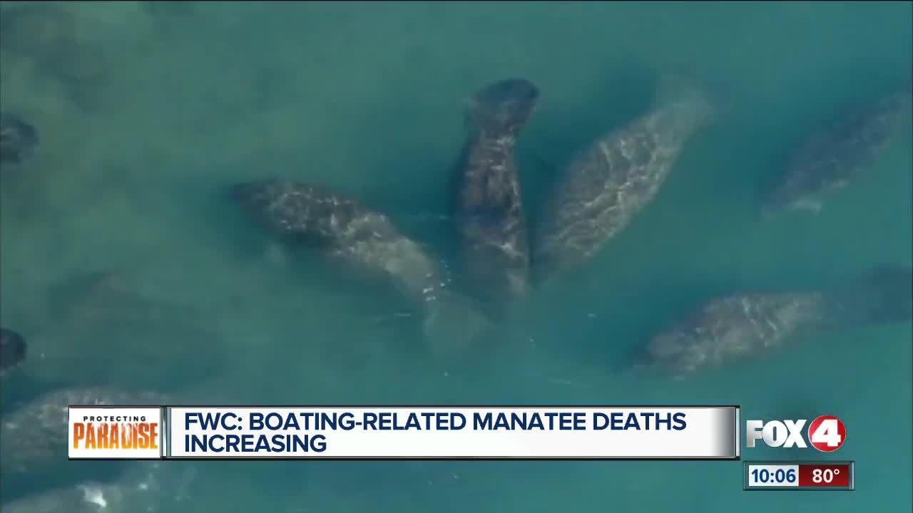 Boating-related Manatee Deaths