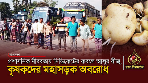 প্রশাসনিক নীরবতায় সিন্ডিকেট চক্রের কবলে আলুর বীজ, কৃষকদের মহাসড়ক অবরোধ || আল ফিরদাউস || Al Firdaws