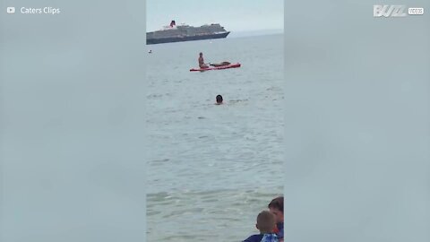 Friendly seal climbs onto paddle board