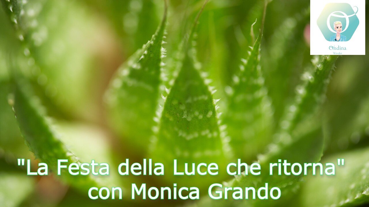 "BenEssere OL3" con Monica Grando: "La Festa della Luce che ritorna"