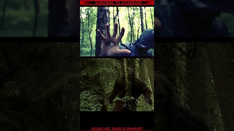 WHAT LURKS IN THE WOODS?