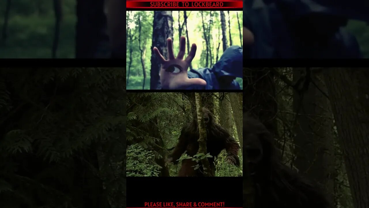 WHAT LURKS IN THE WOODS?