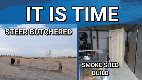 The Steer Are Heading To The Locker | Smoke Shed Build