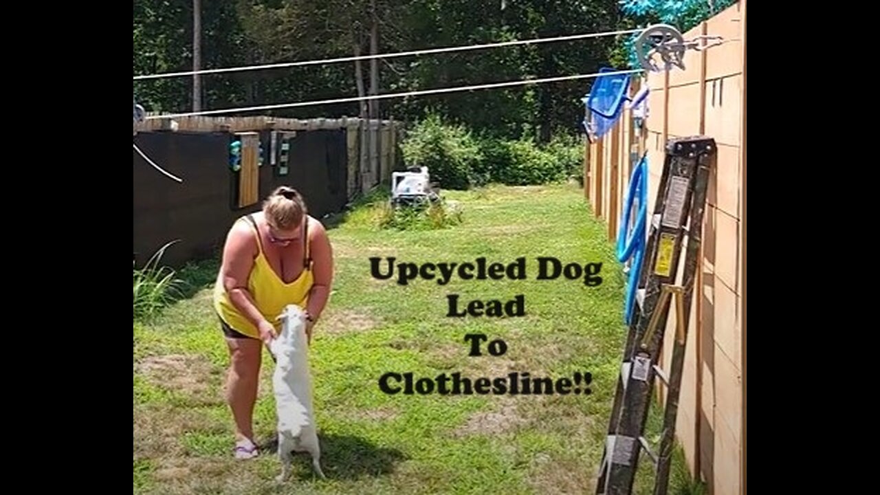 Can You Upcycle A Dog Lead to Clothesline??