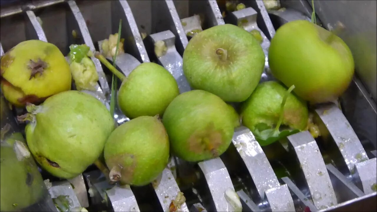 FilaMaker Organic waste shredder VS apples