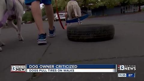 Dog owner criticized for how he walks dogs