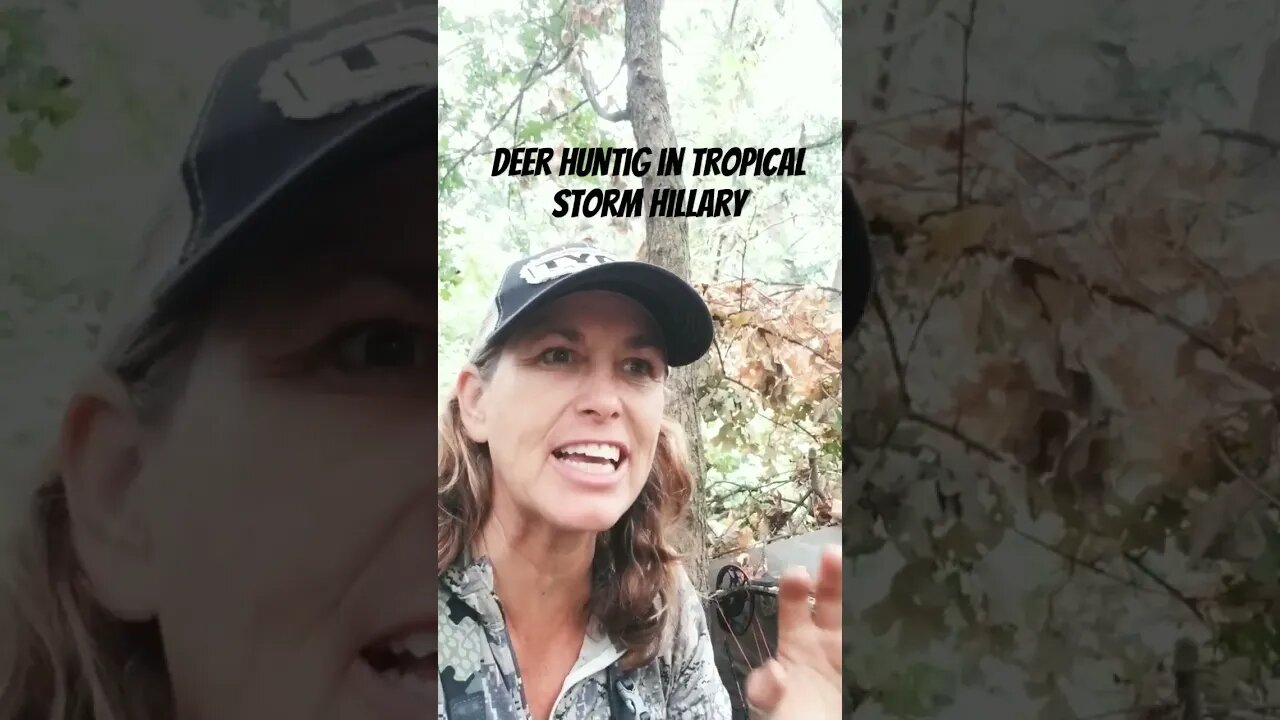 deer hunting in tropical storm Hilary. #deerhunting #hoytwoman #solohunter #hunting
