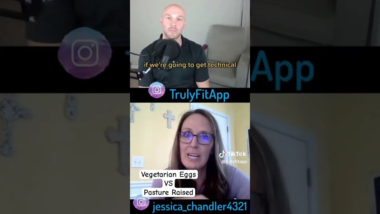 All things Egg episode #health #fitness #nutrition #personaltrainer #healthpodcast #fitnesspodcast