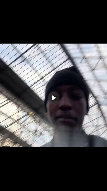 Do whatever you want all the time.