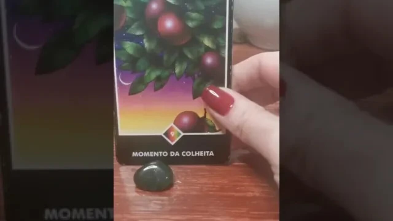 16-10-2022 #tarotbrasil #conselhodotarot