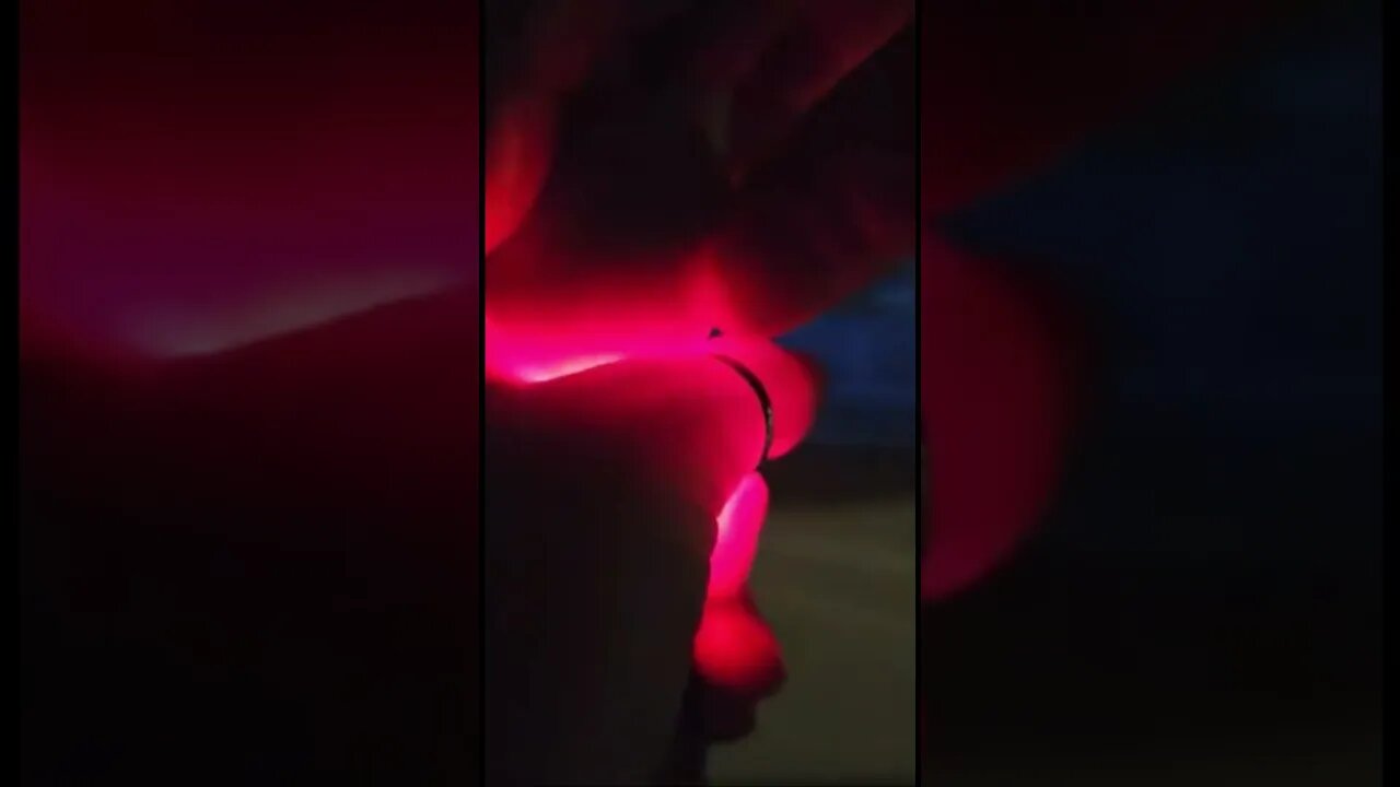 Hatching eggs with Mrs B. Part 6