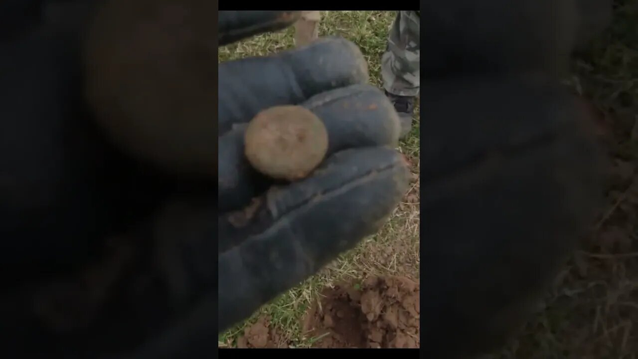 Civil War button! #coins #fishing #relic #arrowhead #treasure #buttons #silver #metaldetecting #cat