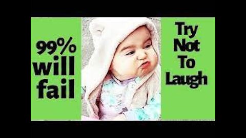 Try Not To Laugh !!!