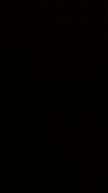 The American Entrepreneurial Spirit